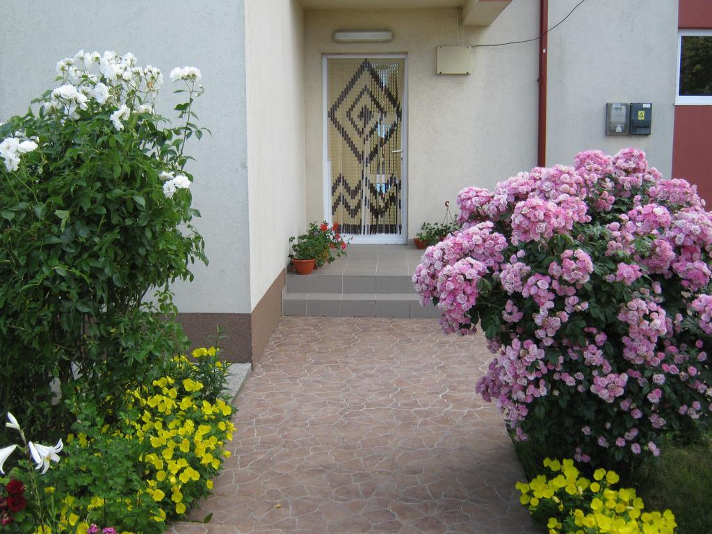 קוסטינסטי Vila Alexa מראה חיצוני תמונה